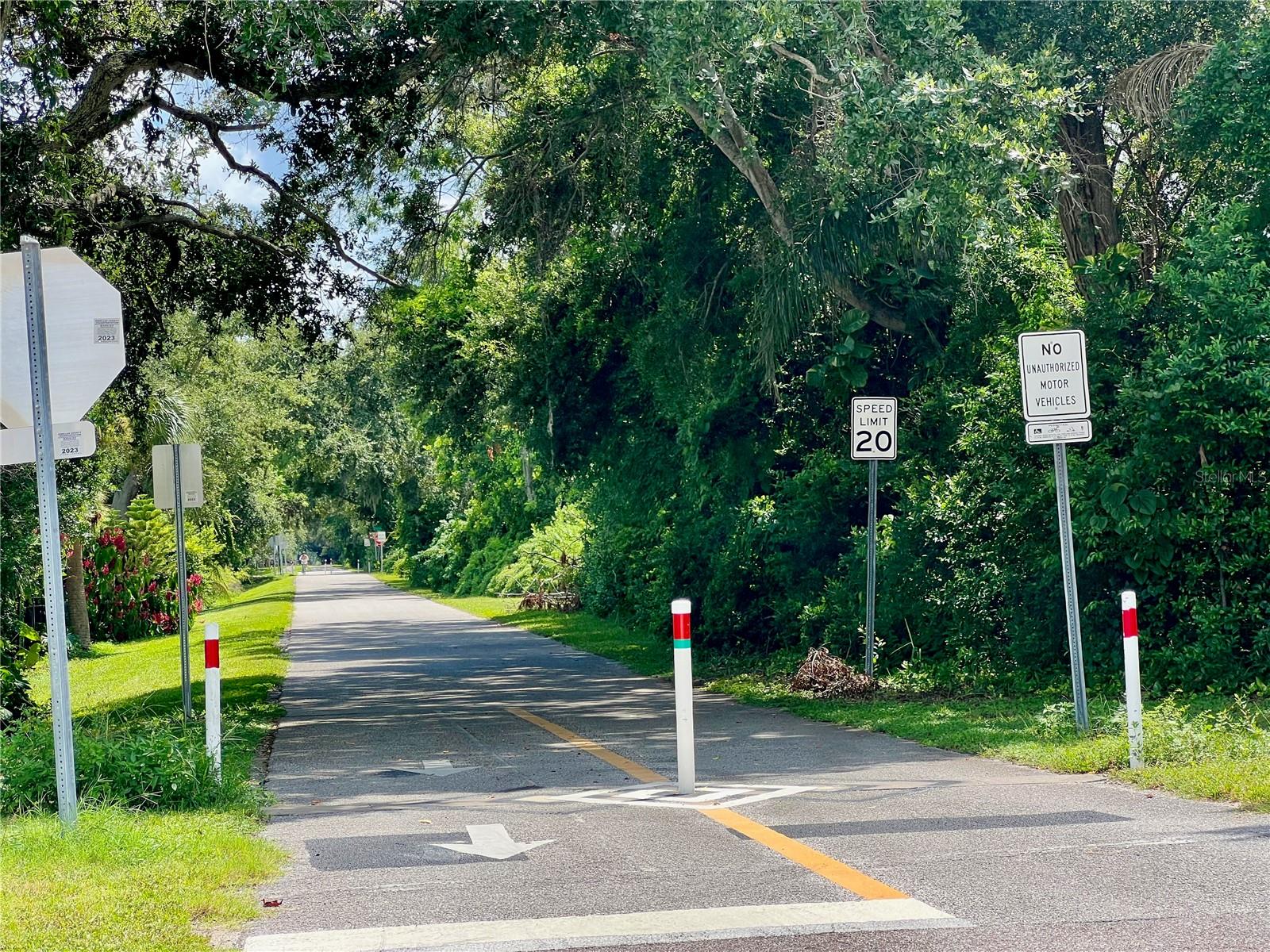 The Pinellas Trail