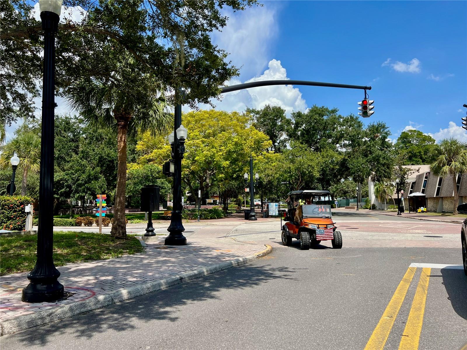 Golf Cart Community