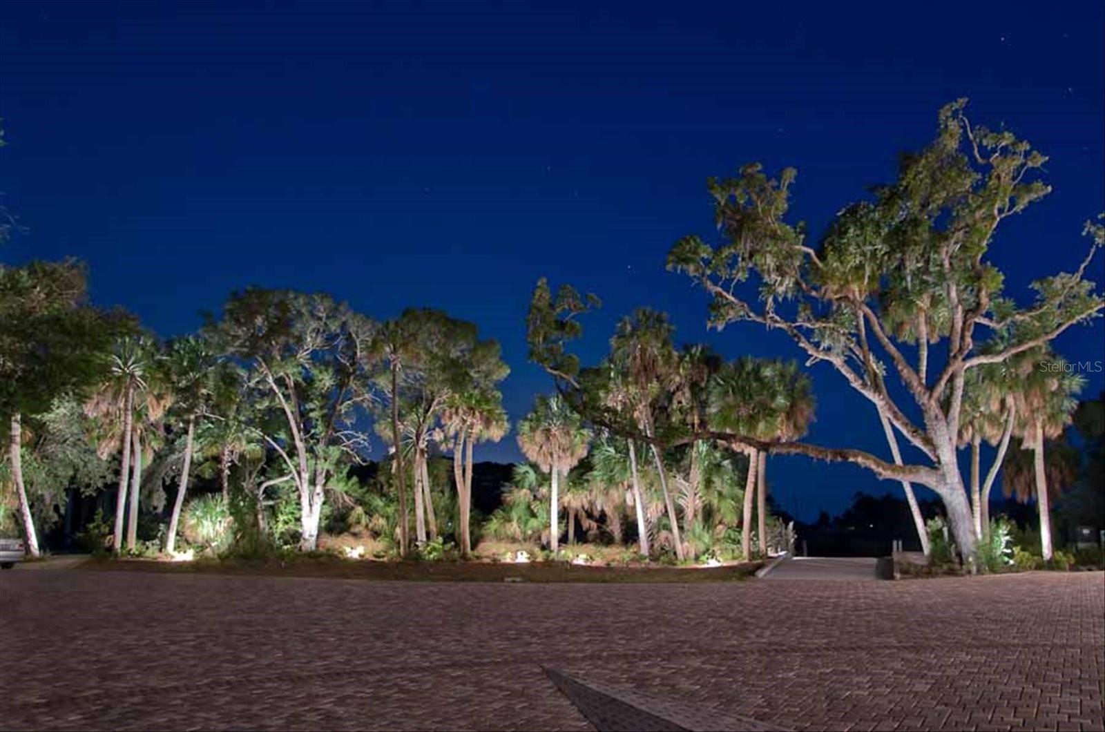 •Professional outdoor lighting on home and landscaping