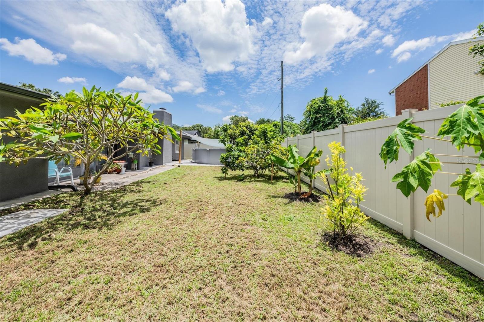 Completely fenced backyard with fruit trees.