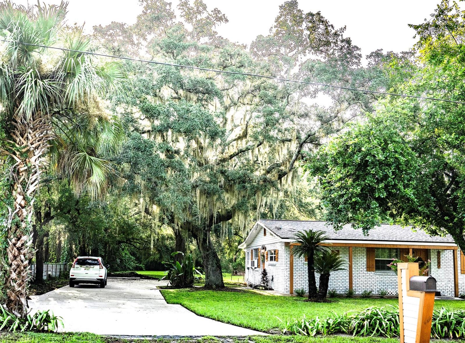 Driveway