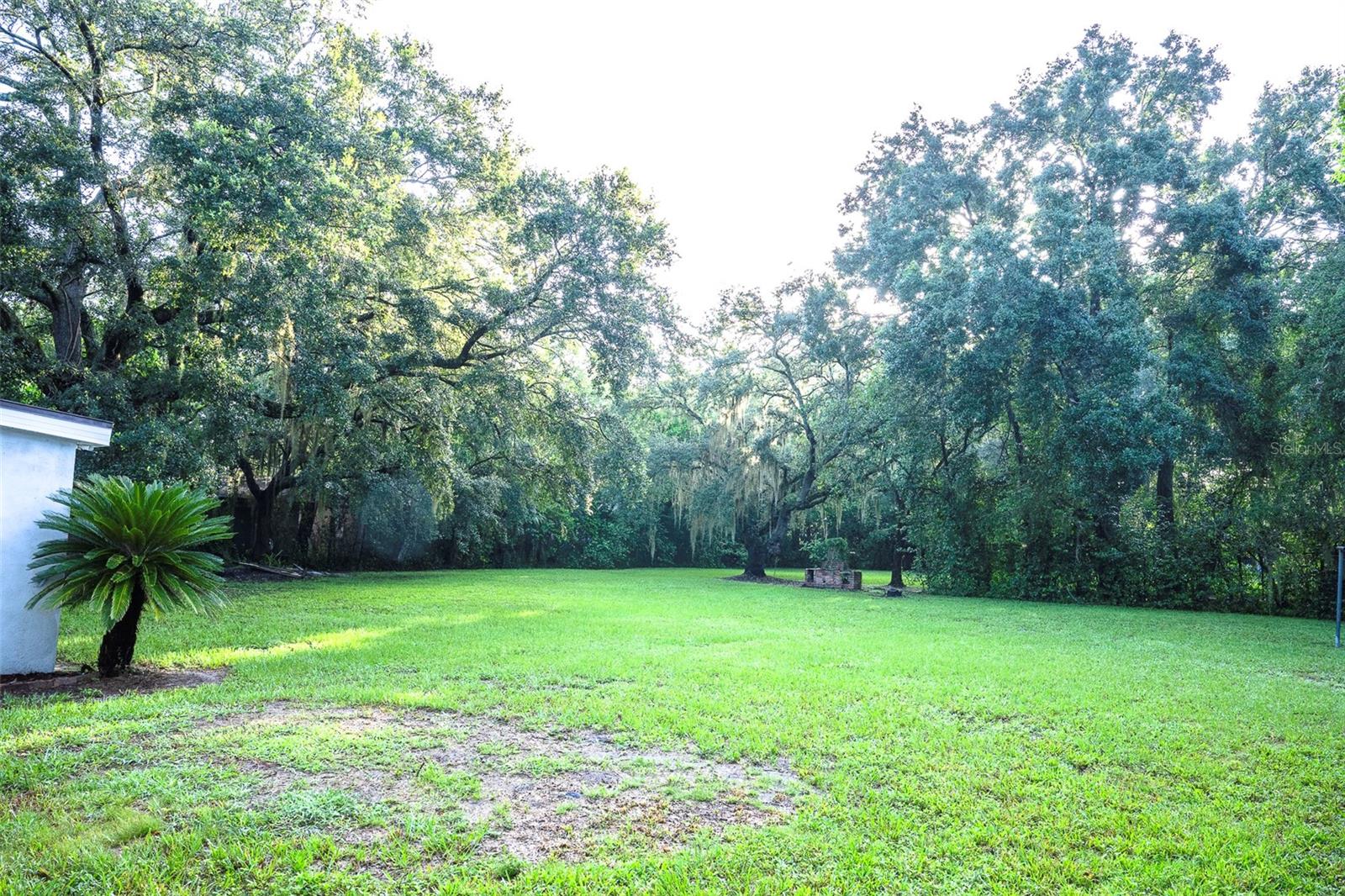 Backyard from House