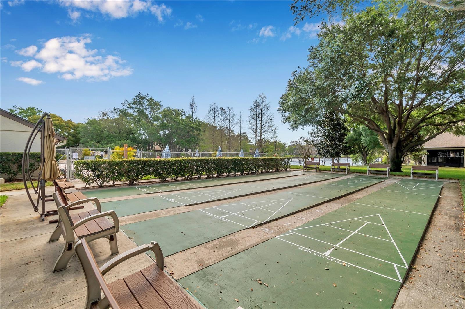 Shuffleboard courts