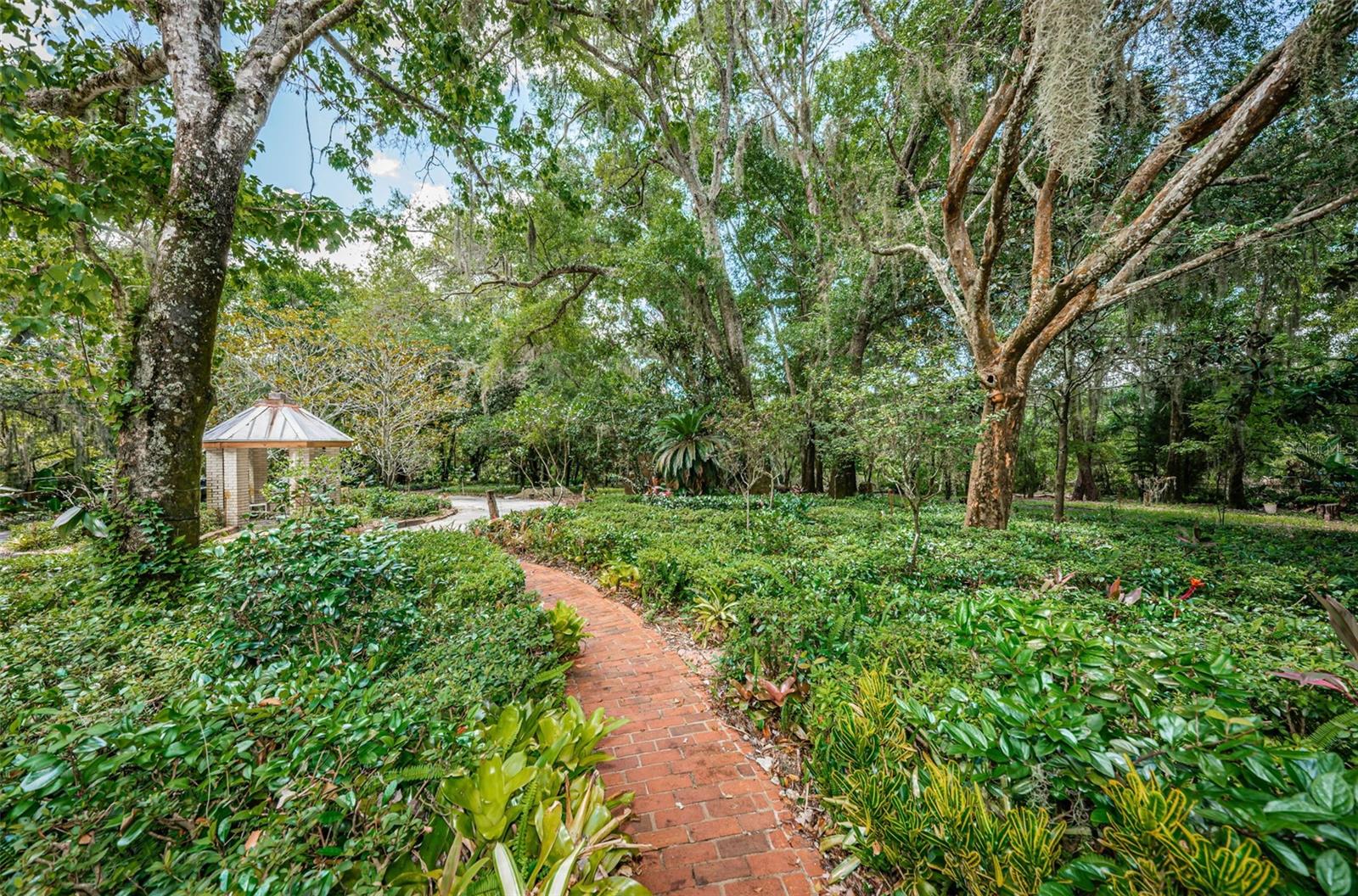 Lush entry to Front door