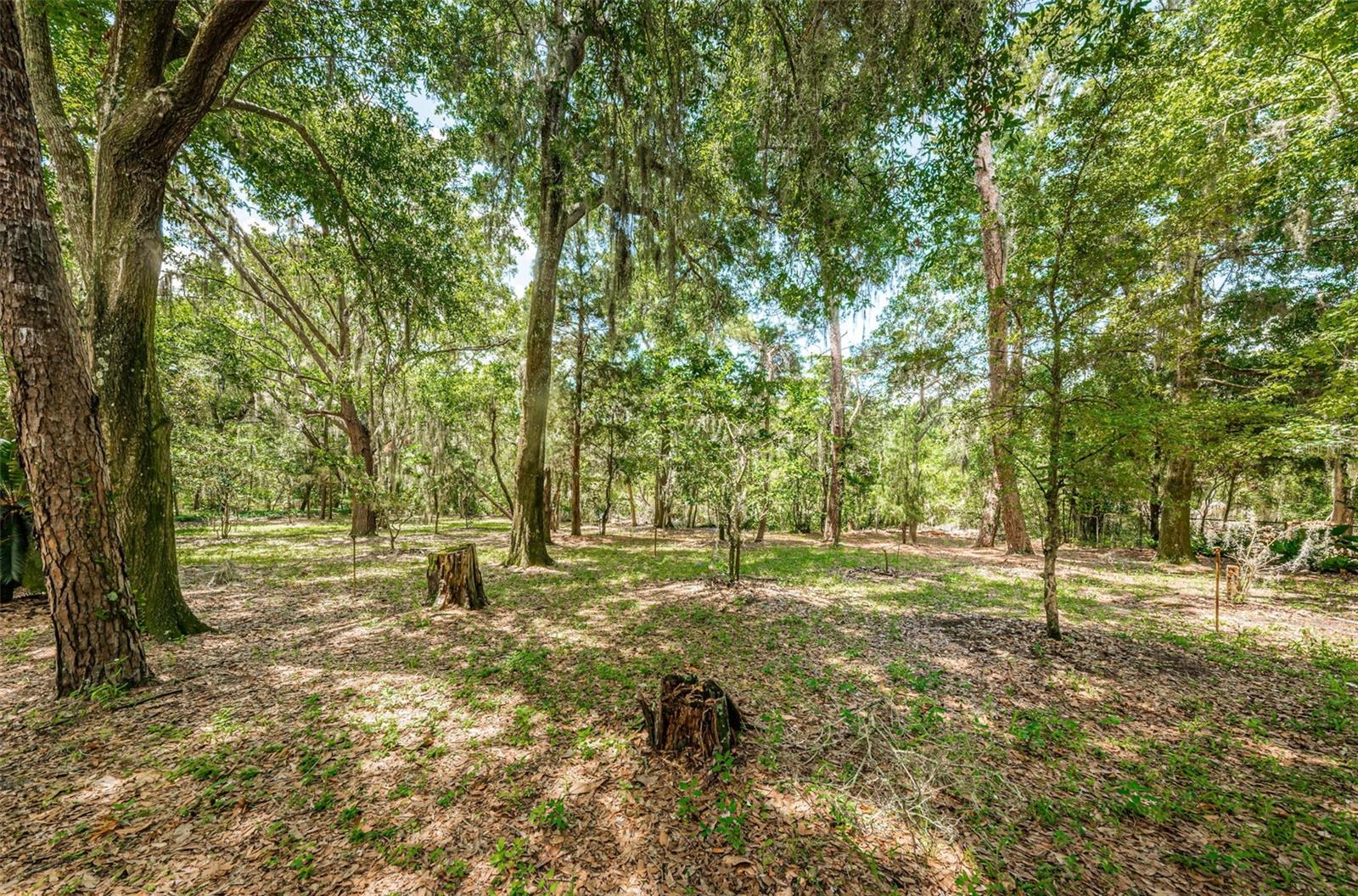 Front of home's land