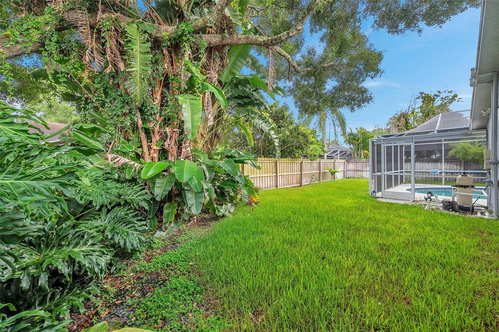 Side yard with mature tropical landscaping