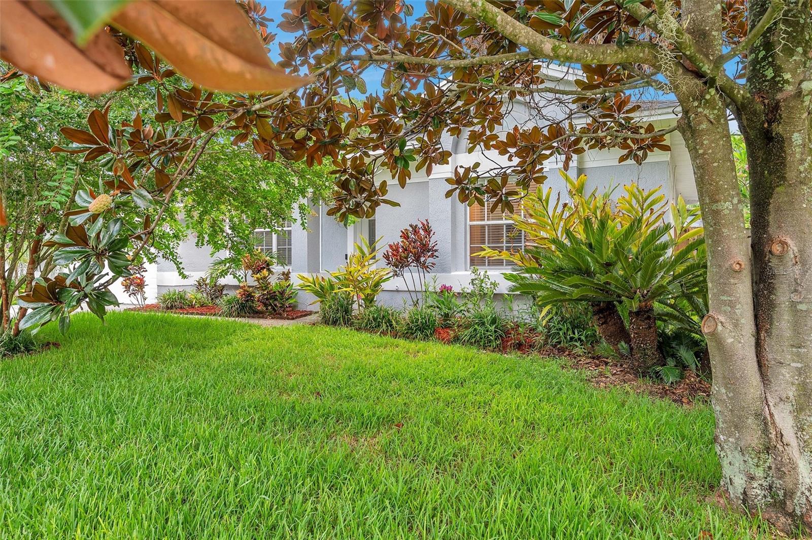 Mature landscaping in front yard