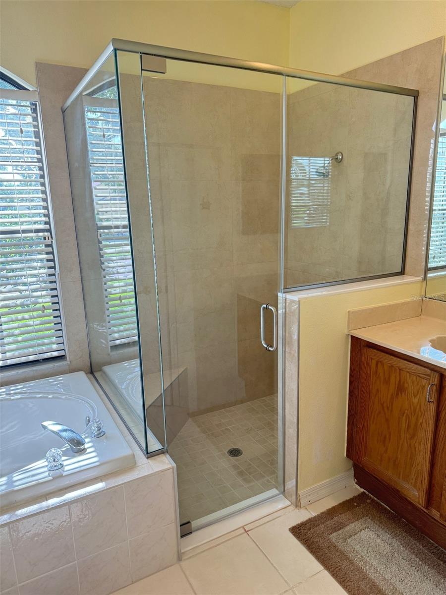 Updated shower with framless glass door