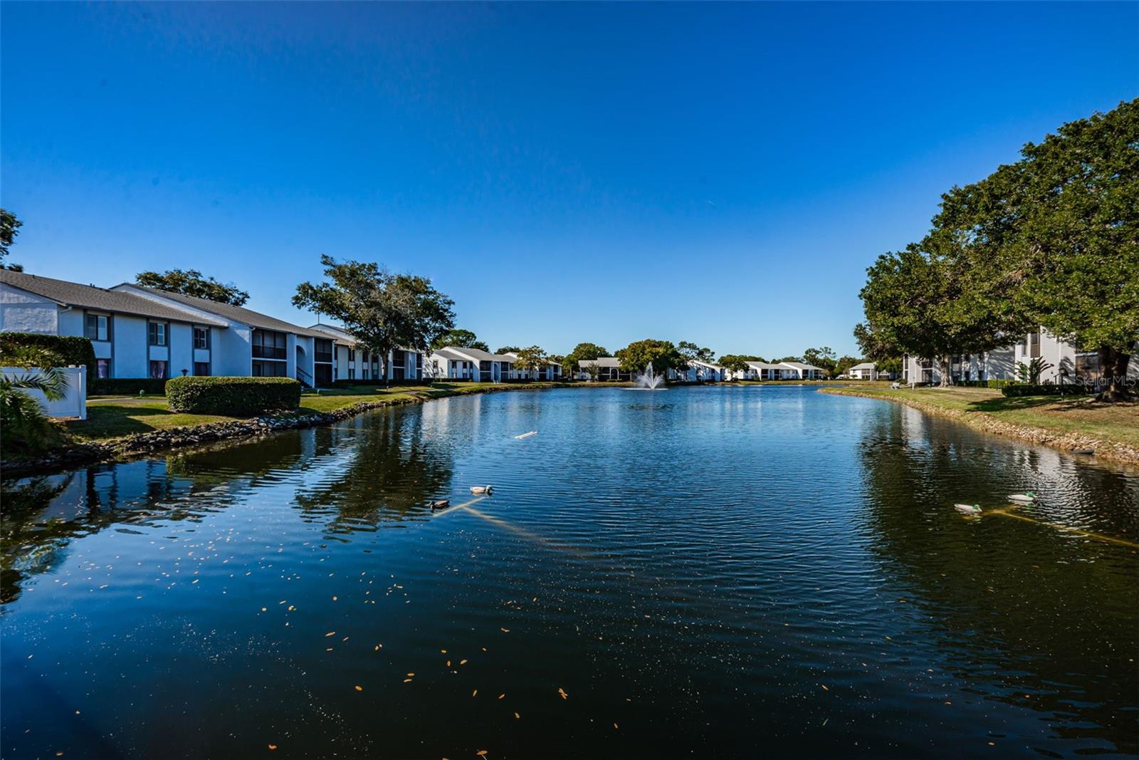 Community Pond View