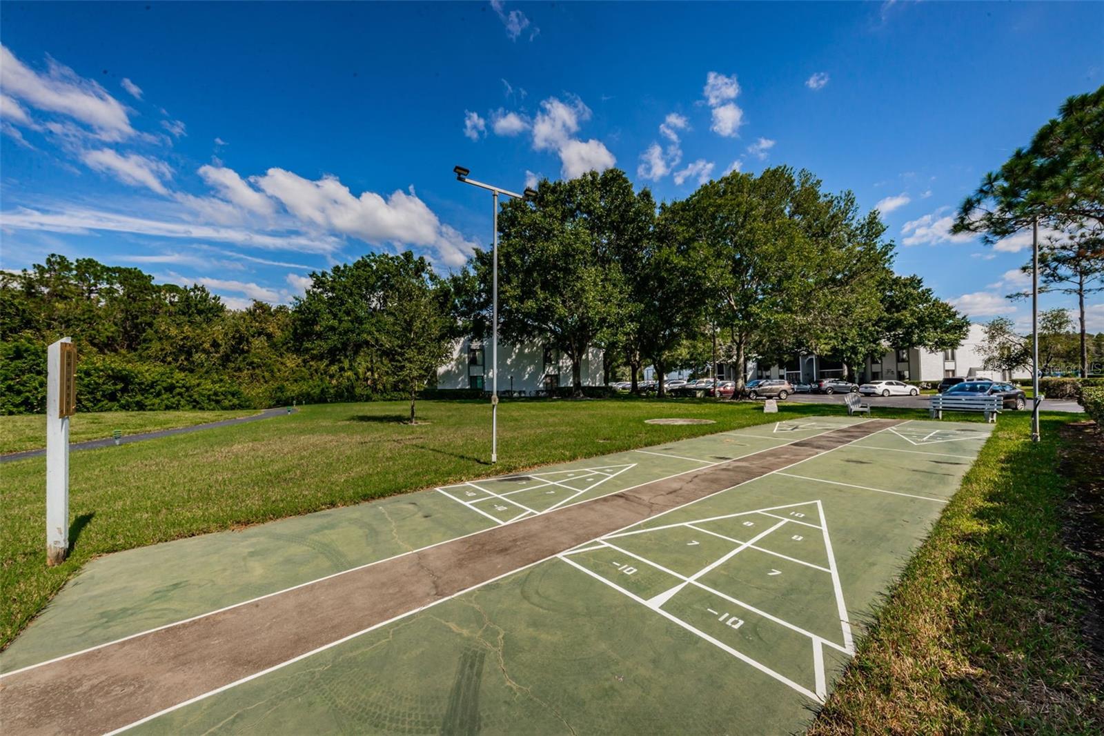 Shuffleboard