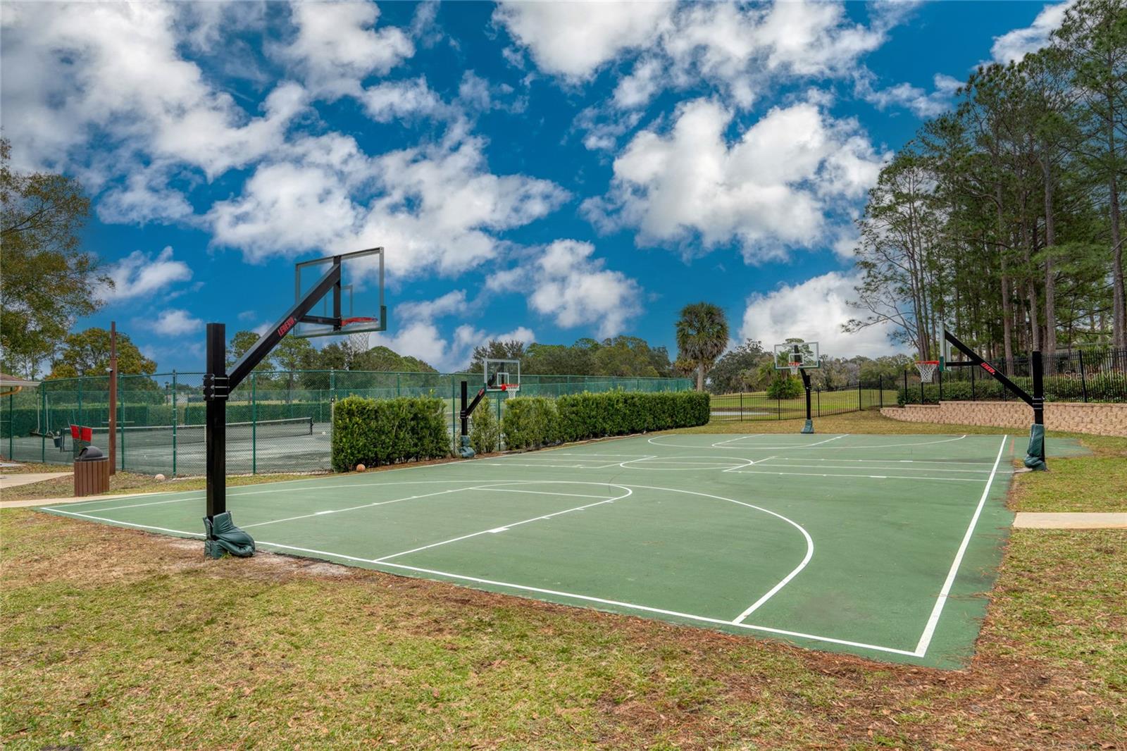 Community Amenities include Basketball Courts