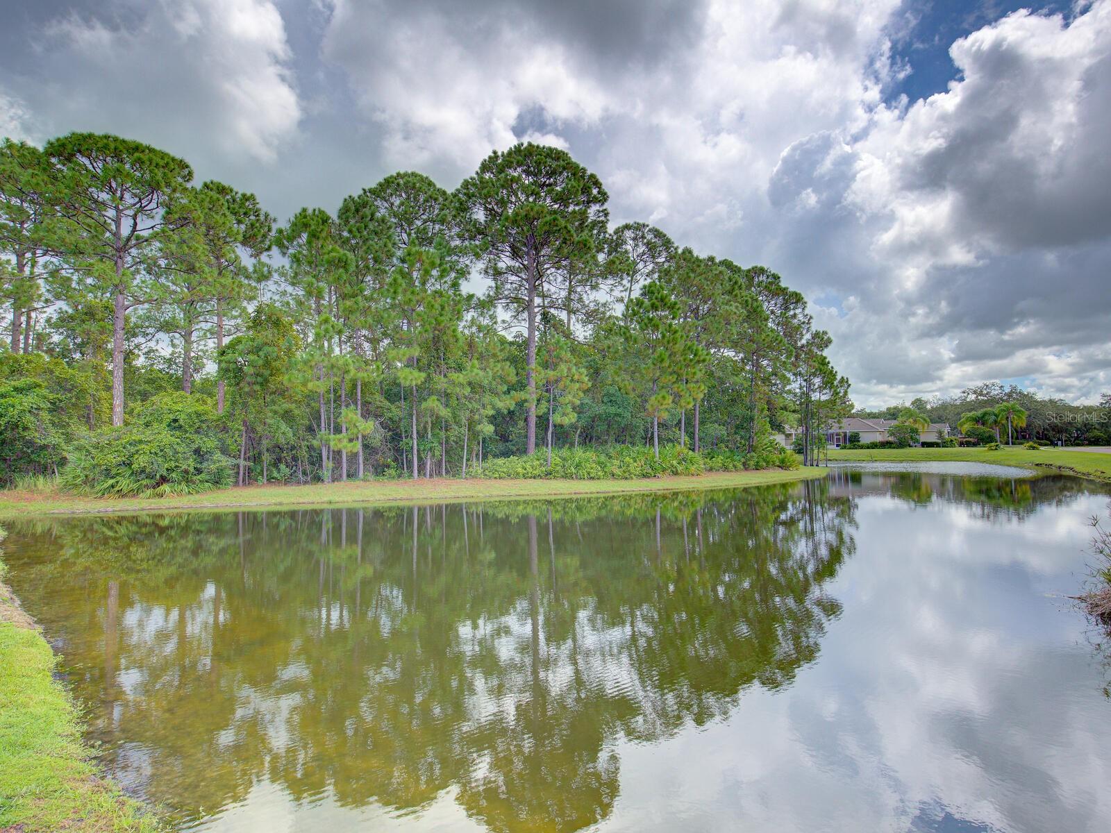 Retention Pond