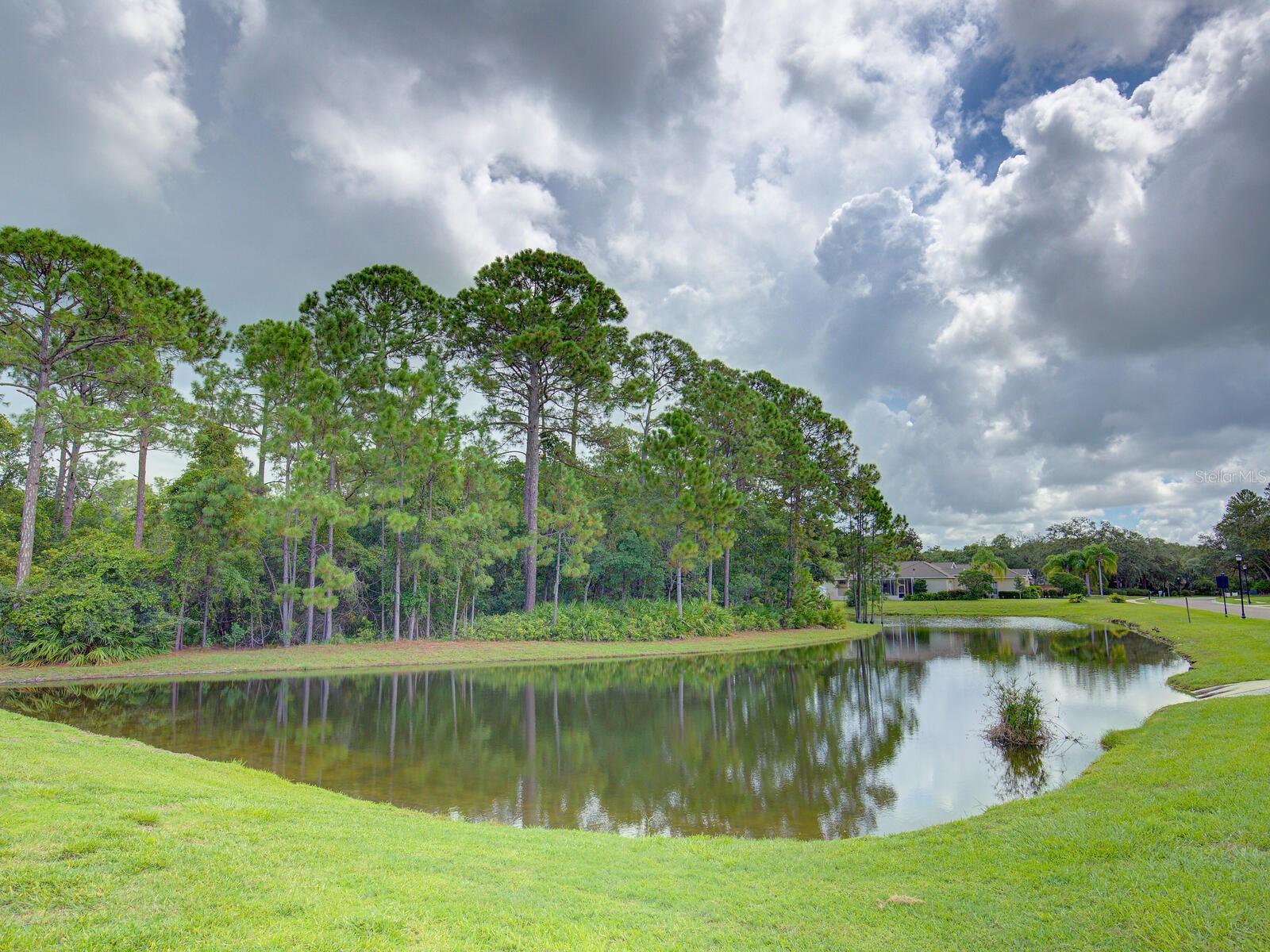 Retention Pond