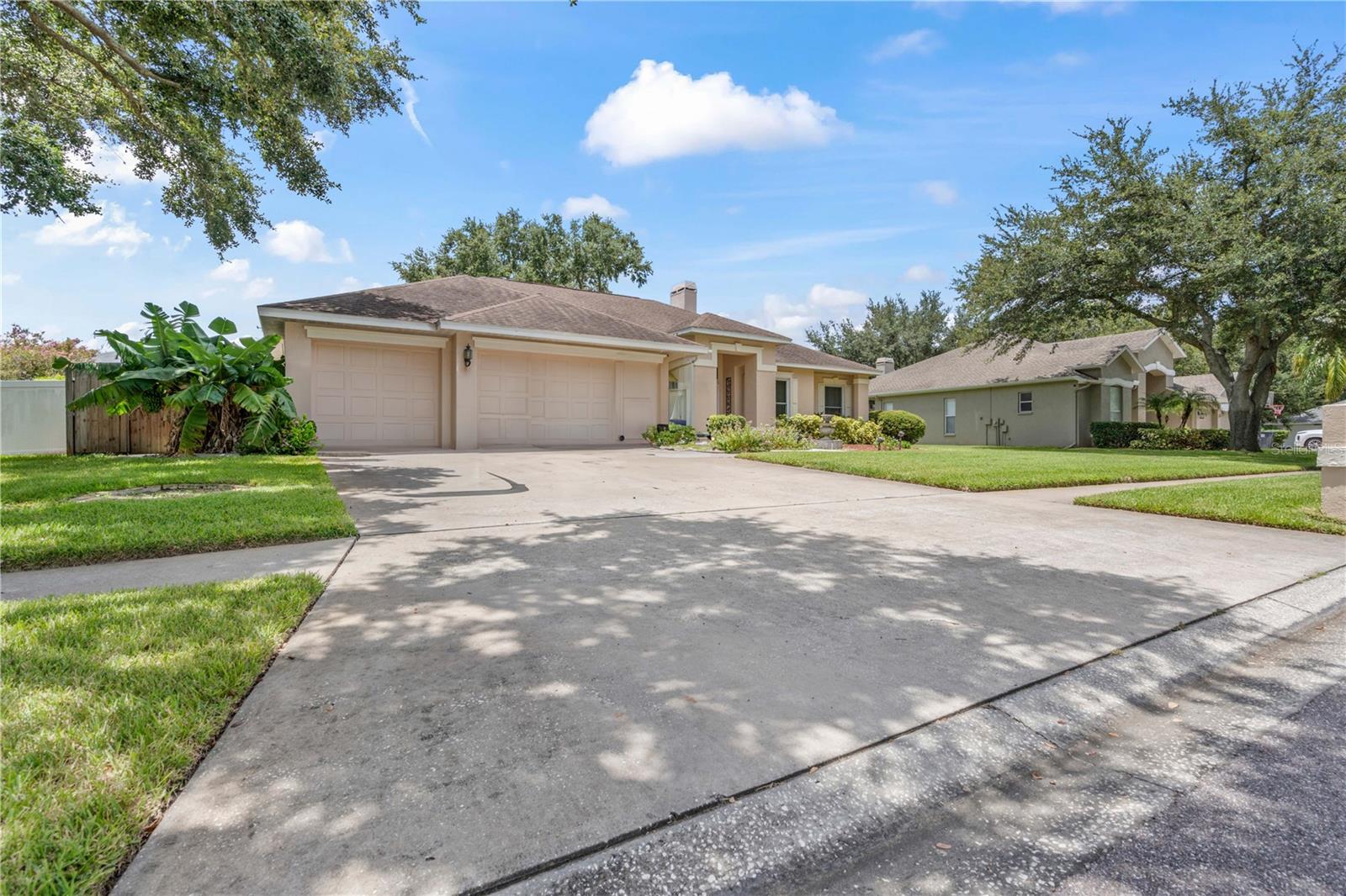 Driveway and Garage View