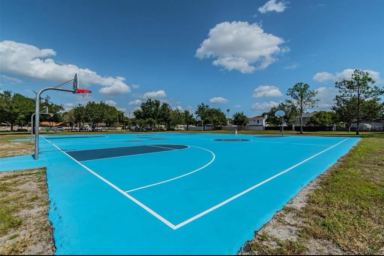 Basketball court