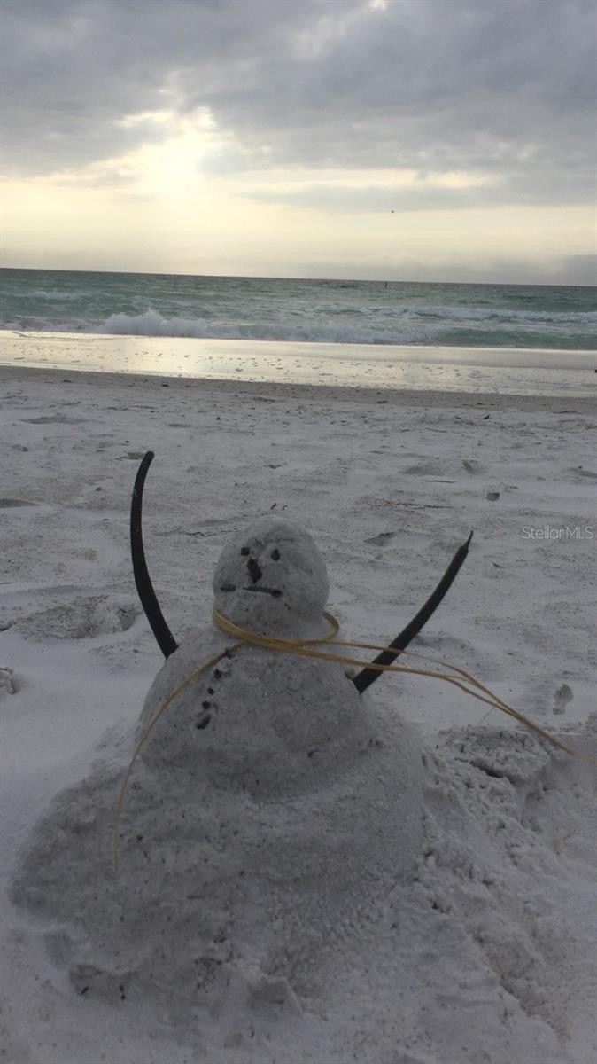 AHHH...FLORIDA LIFE! SHOVEL SAND...NOT SNOW!