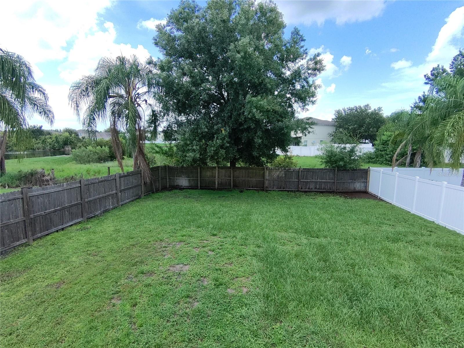 large fenced backyard