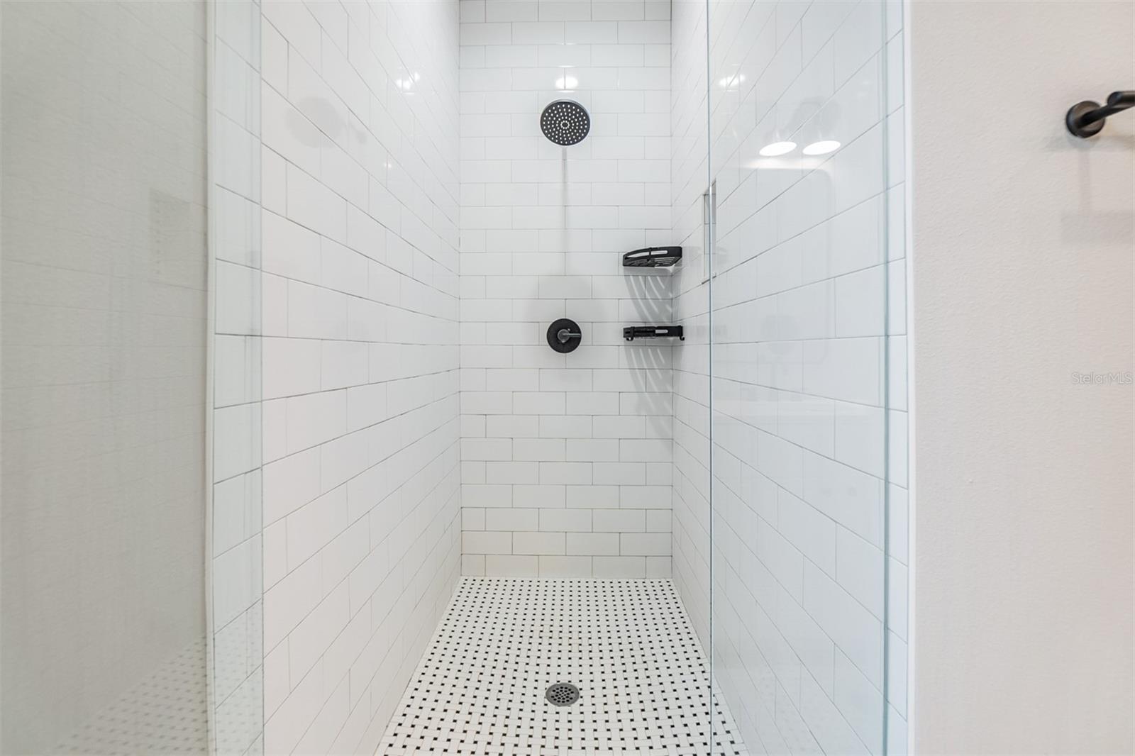 Master Bathroom shower