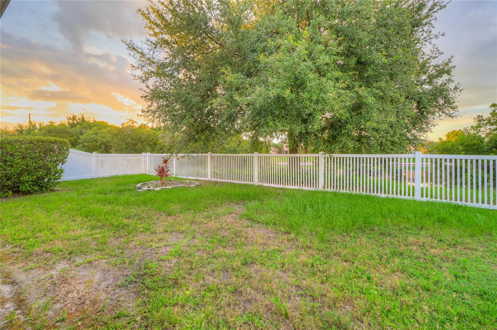 fenced backyard