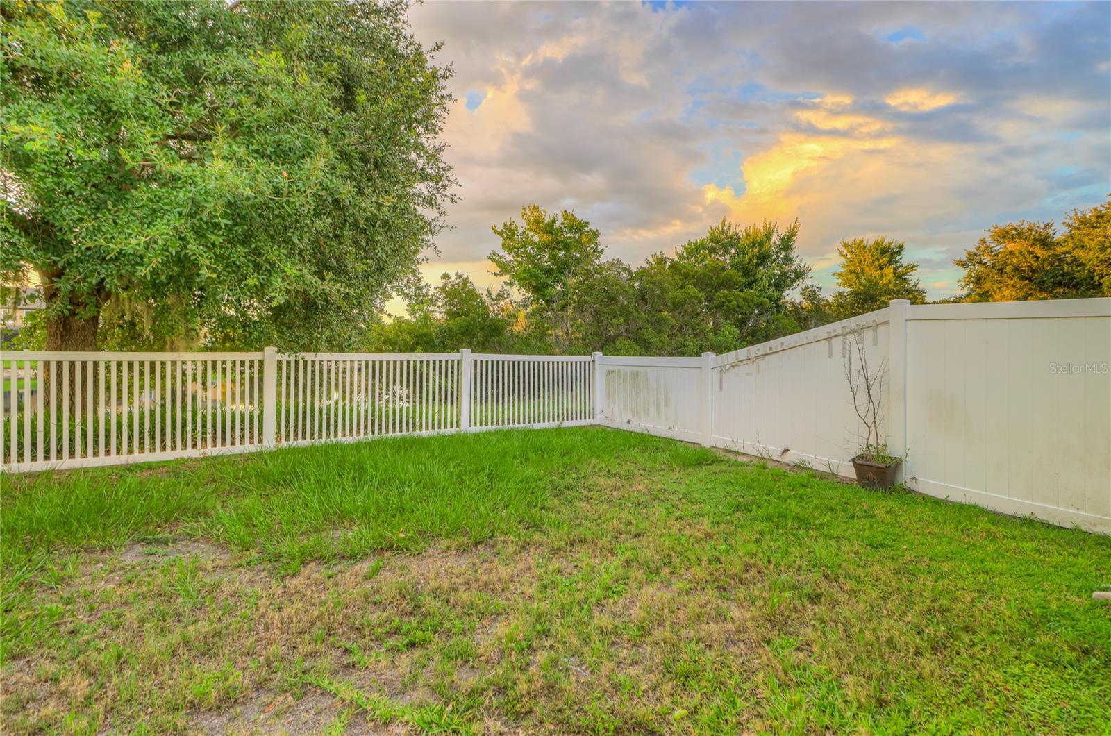 fenced backyard