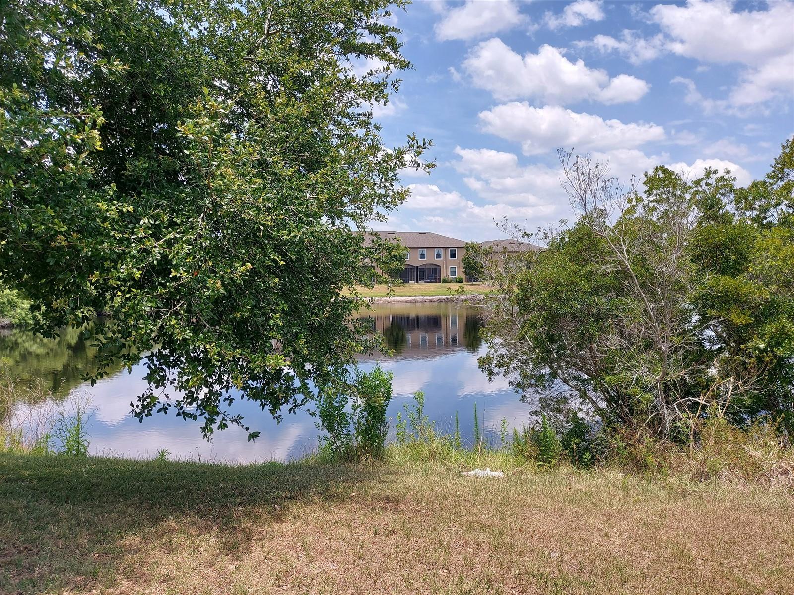 pond view