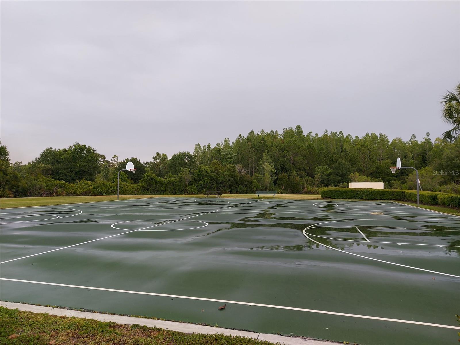 basketball basketballcourt