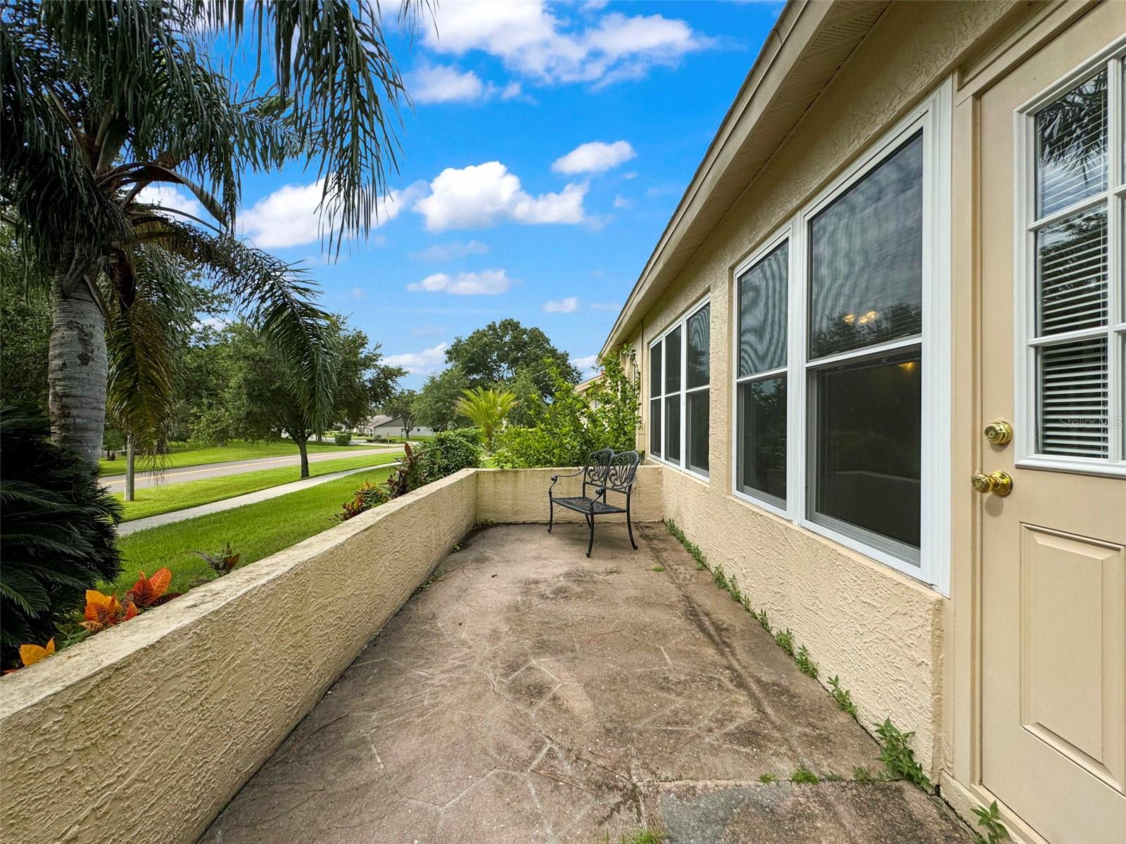 Rear Patio and garden