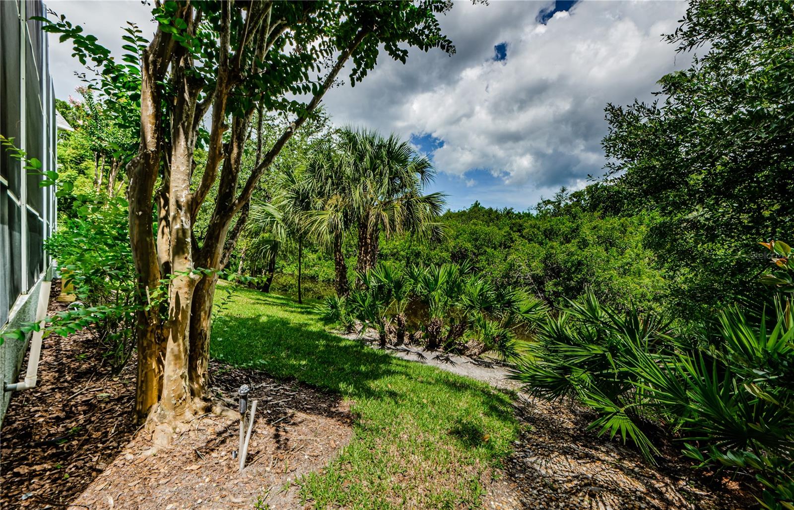 Beautiful backyard landscape rolling down towards Curlew Creek.