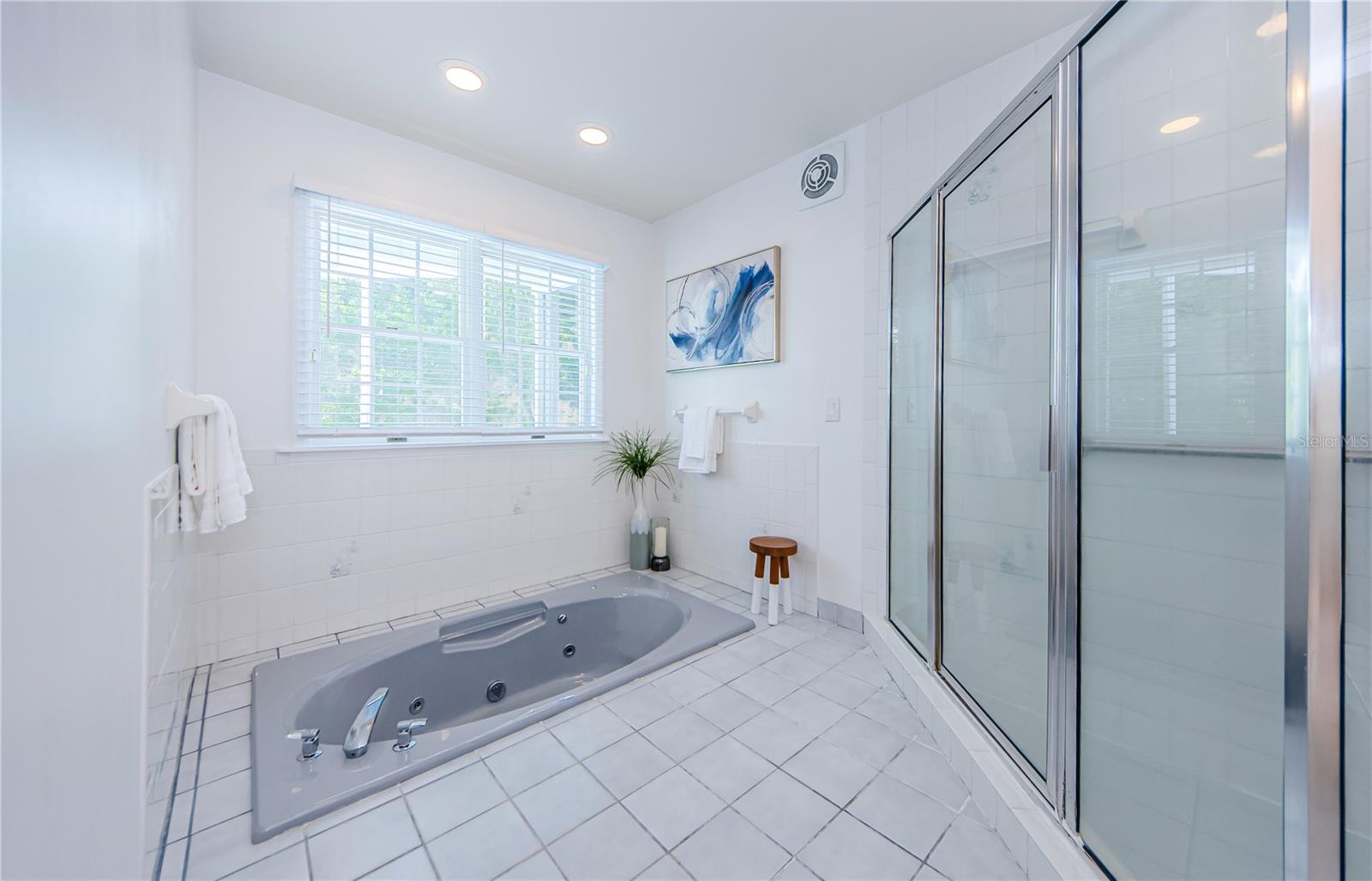 Private Steeping tub, and Shower.