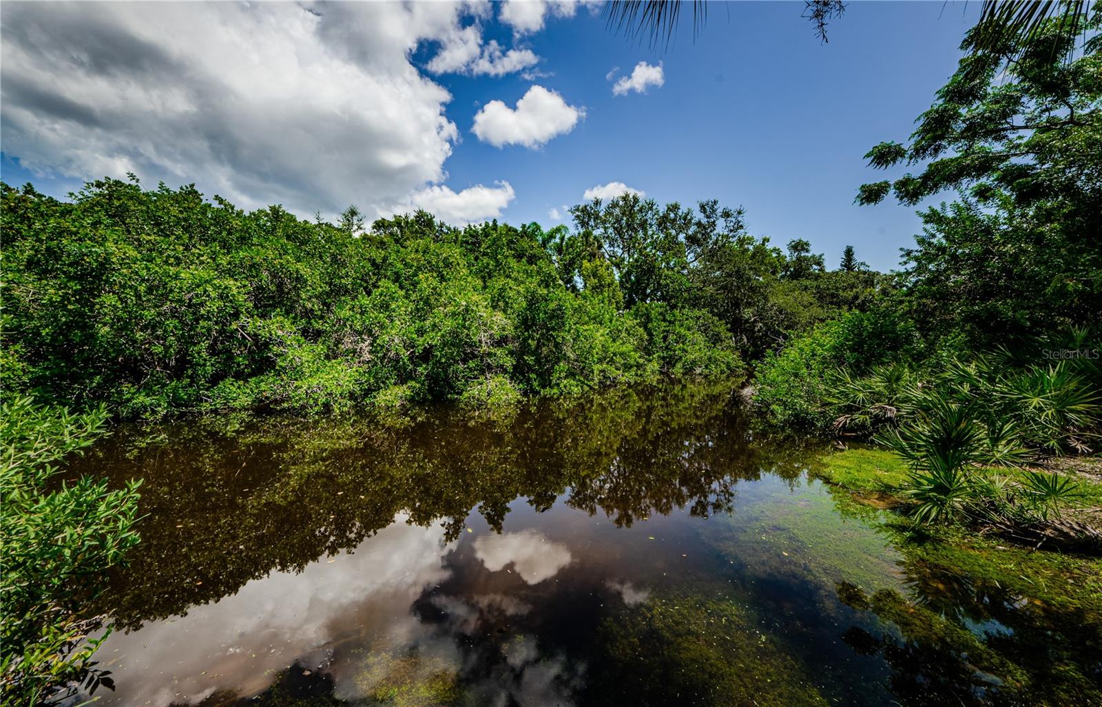 Curlew Creek.