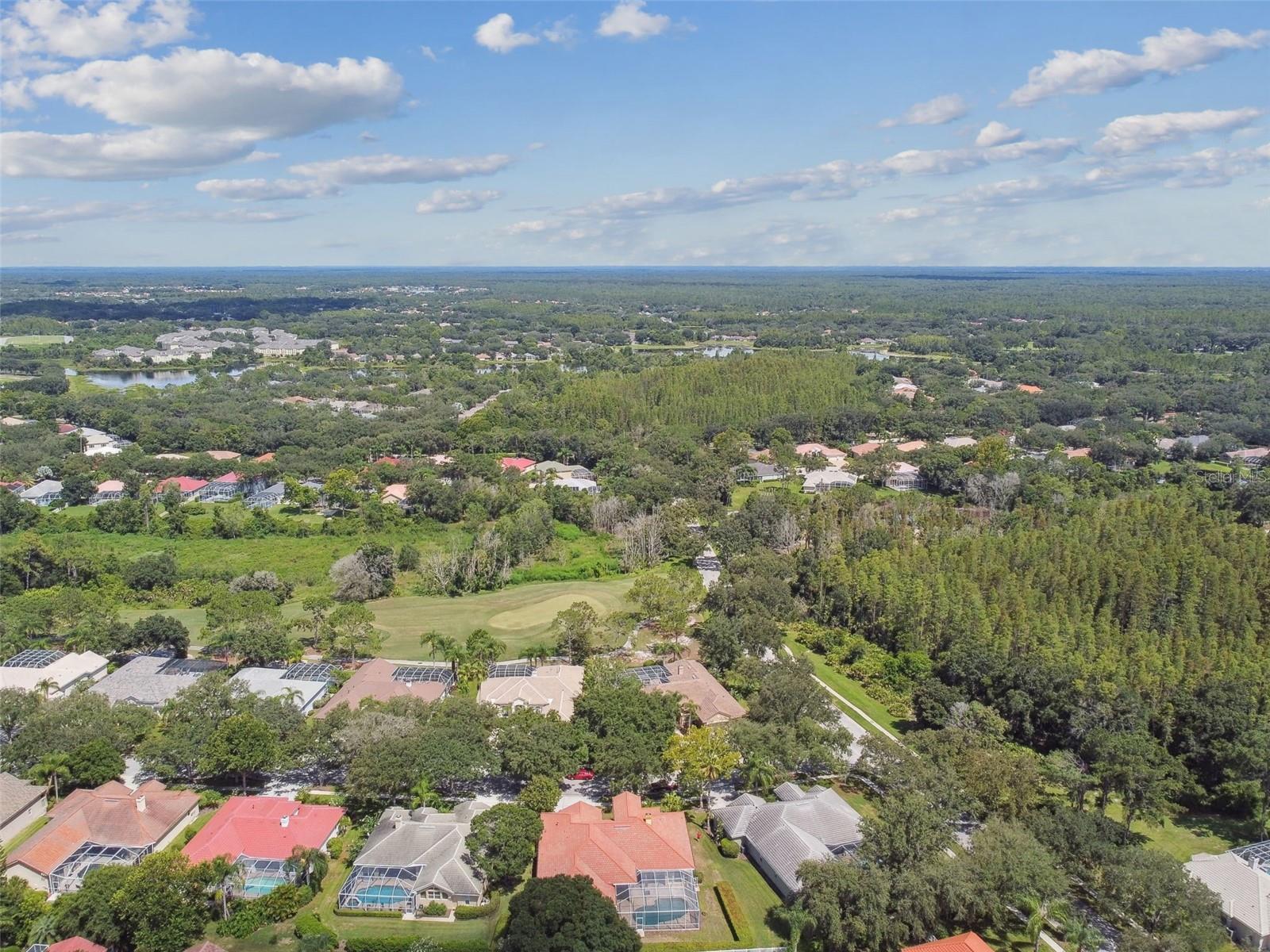 AERIAL VIEW OF THE HOME AND COMMUNITY