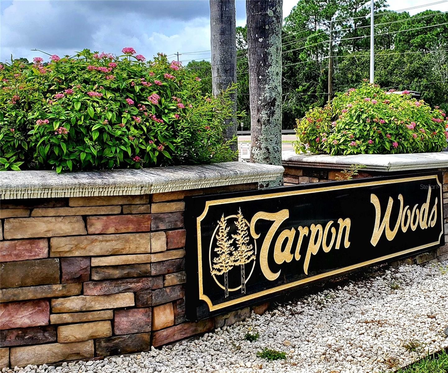 TARPON WOODS