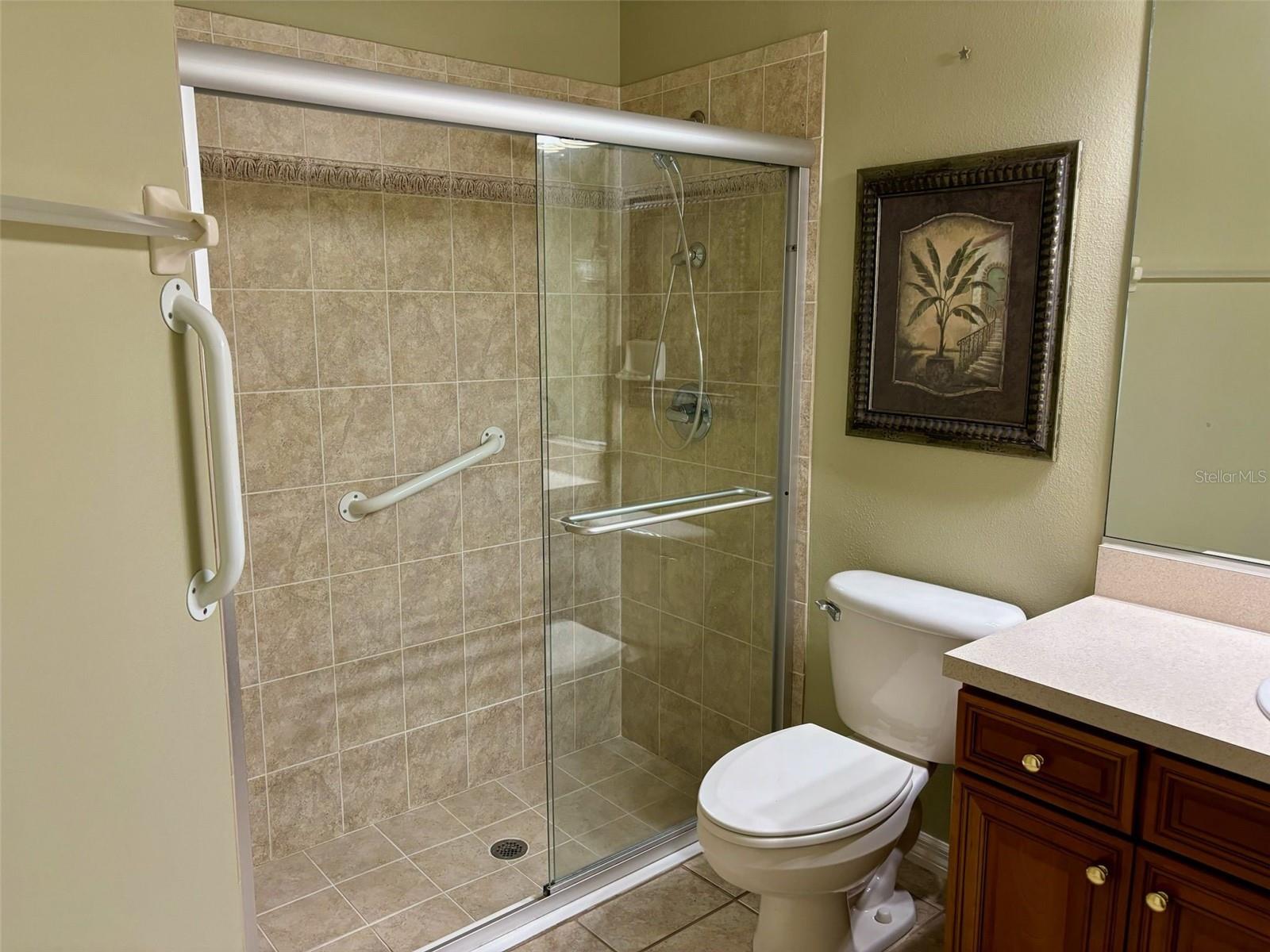 Master bath shower and commode