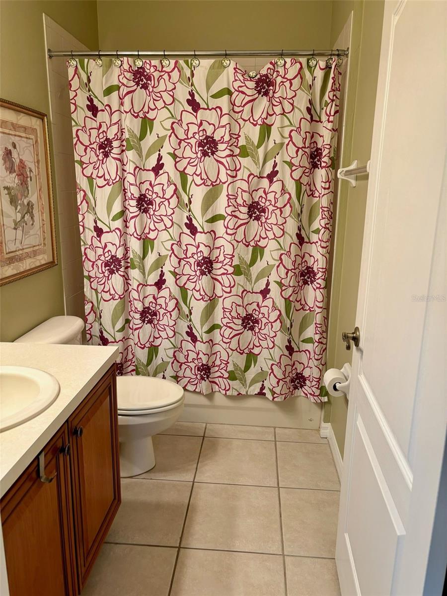 Guest bathroom