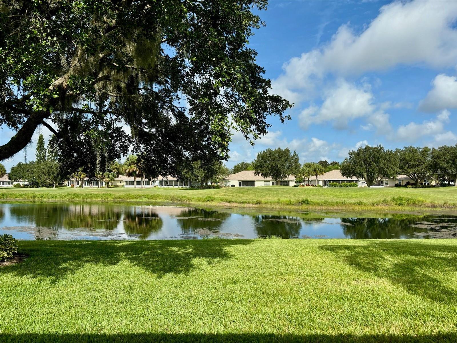 Pond and golf course