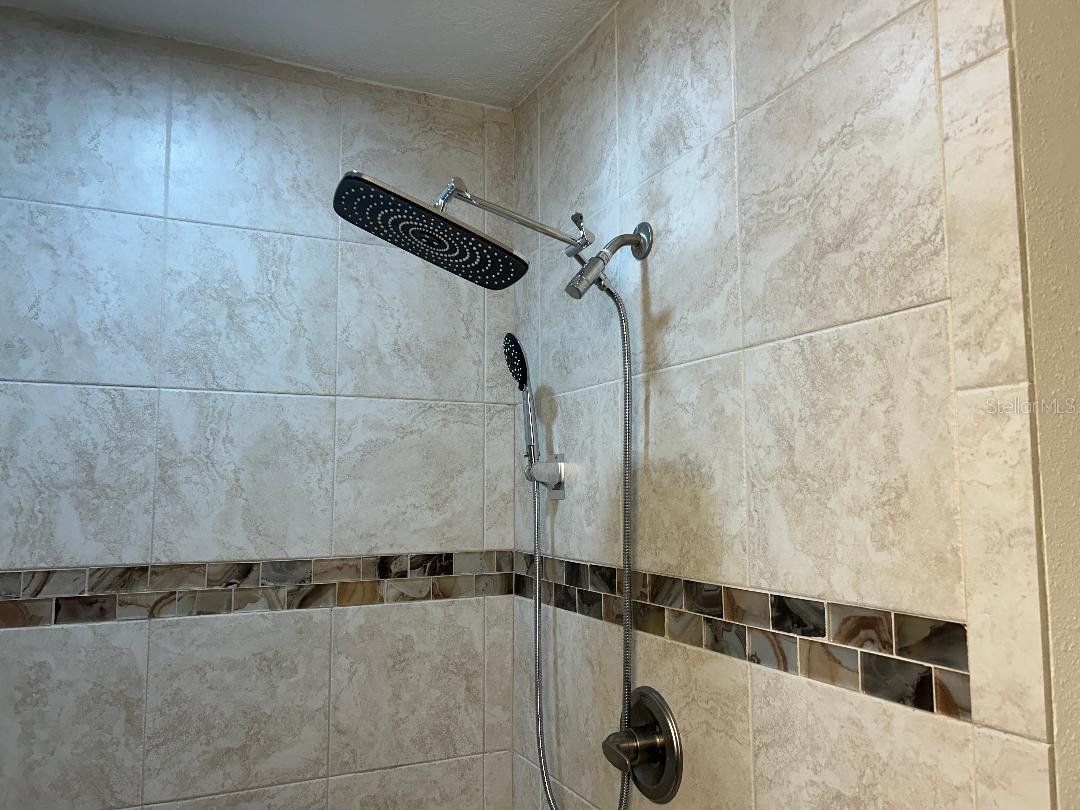 Large rain type shower head-master bath