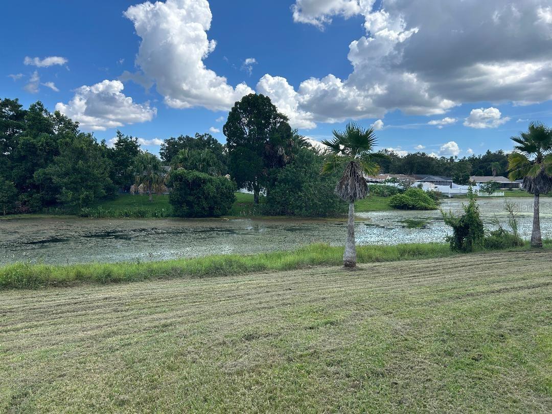 Large rear yard, expansive view of pond