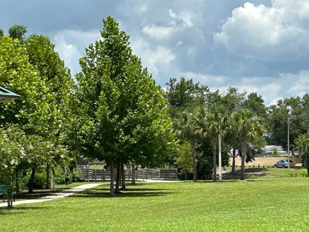 Park area overlooking lake