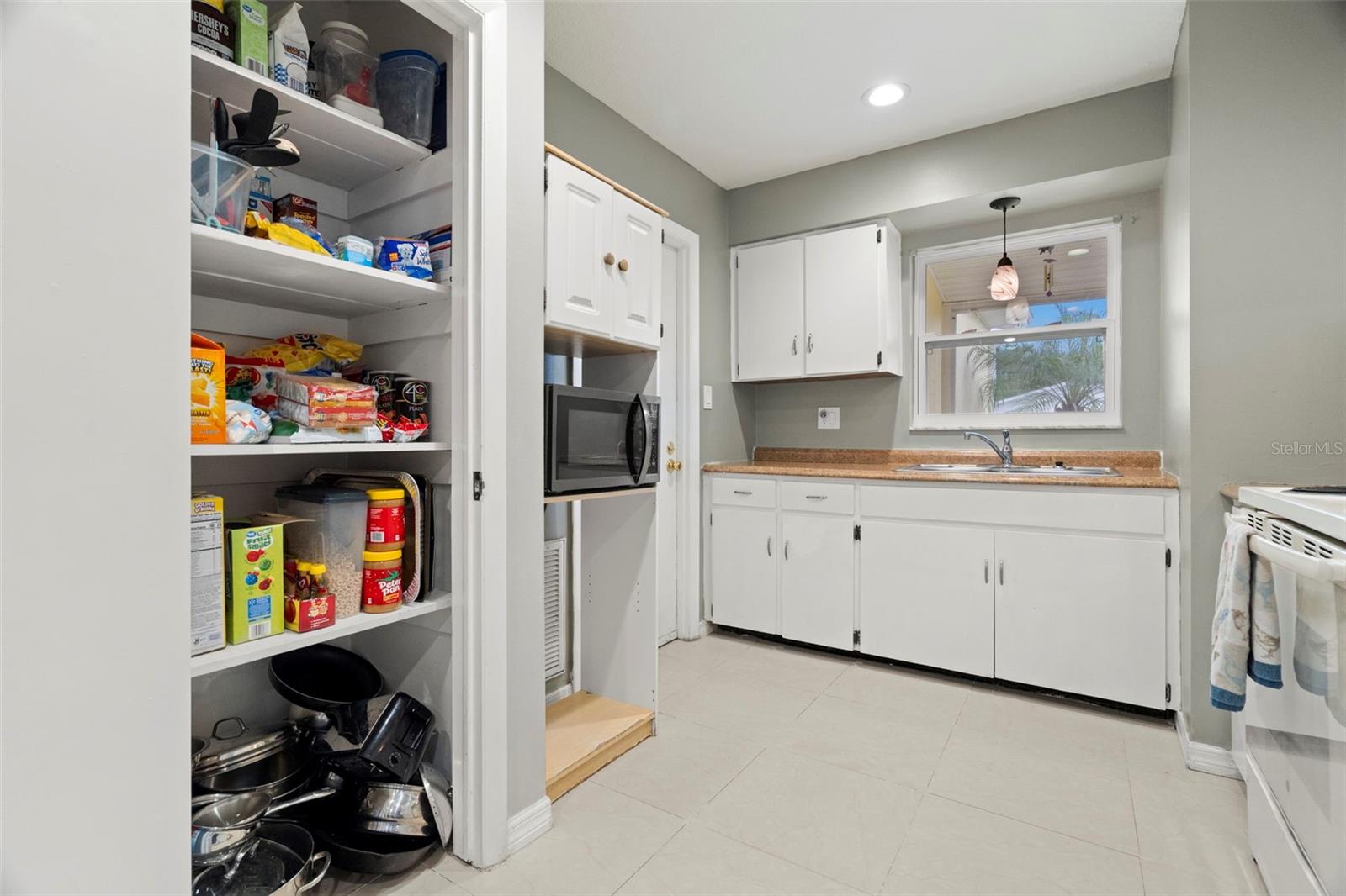 Spacious Pantry in the kitchen