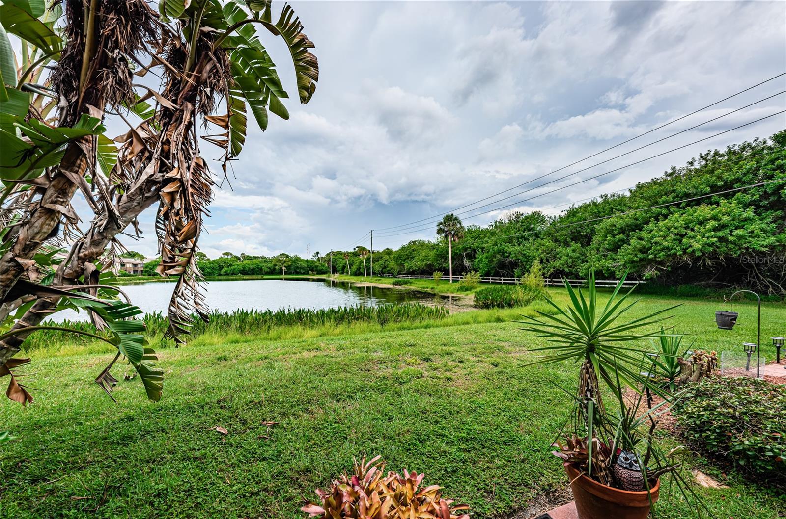 Pond view from back lanai