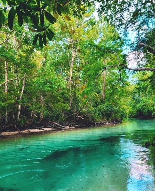 Weeki Wachee River