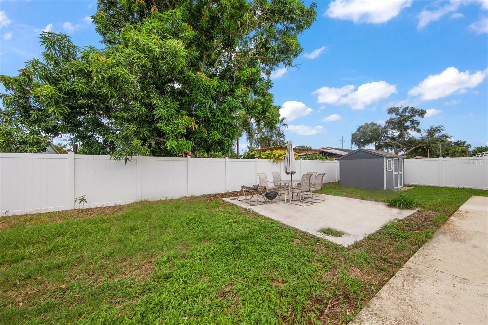 Backyard with Shed