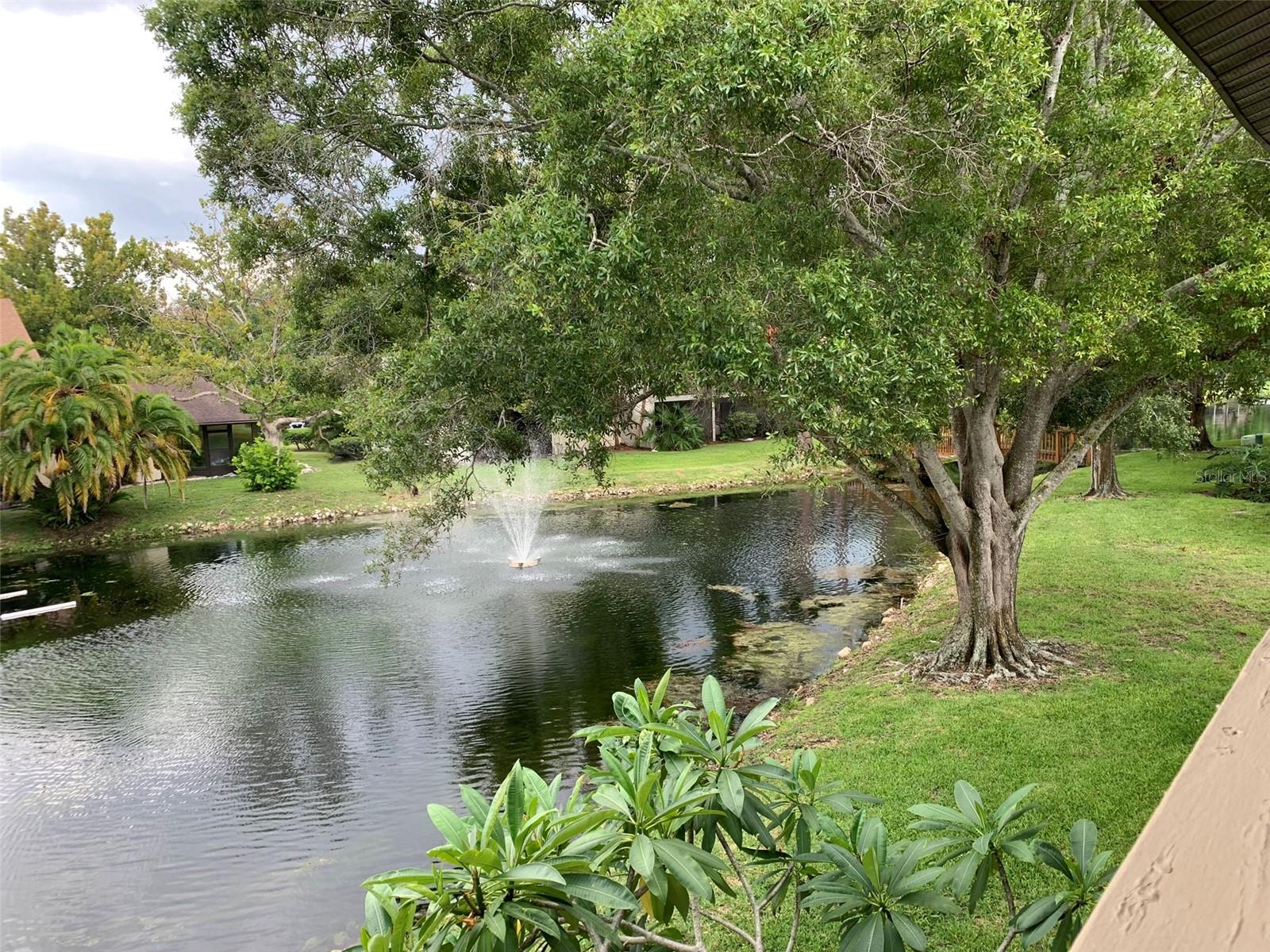 Lake view from balcony