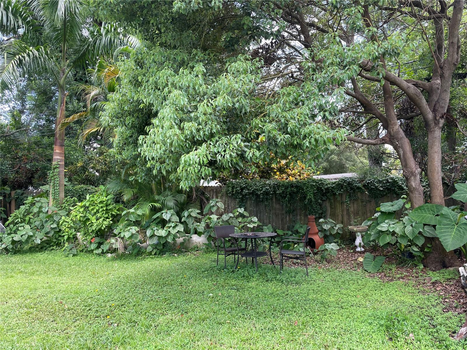 Lush & Spacious Backyard