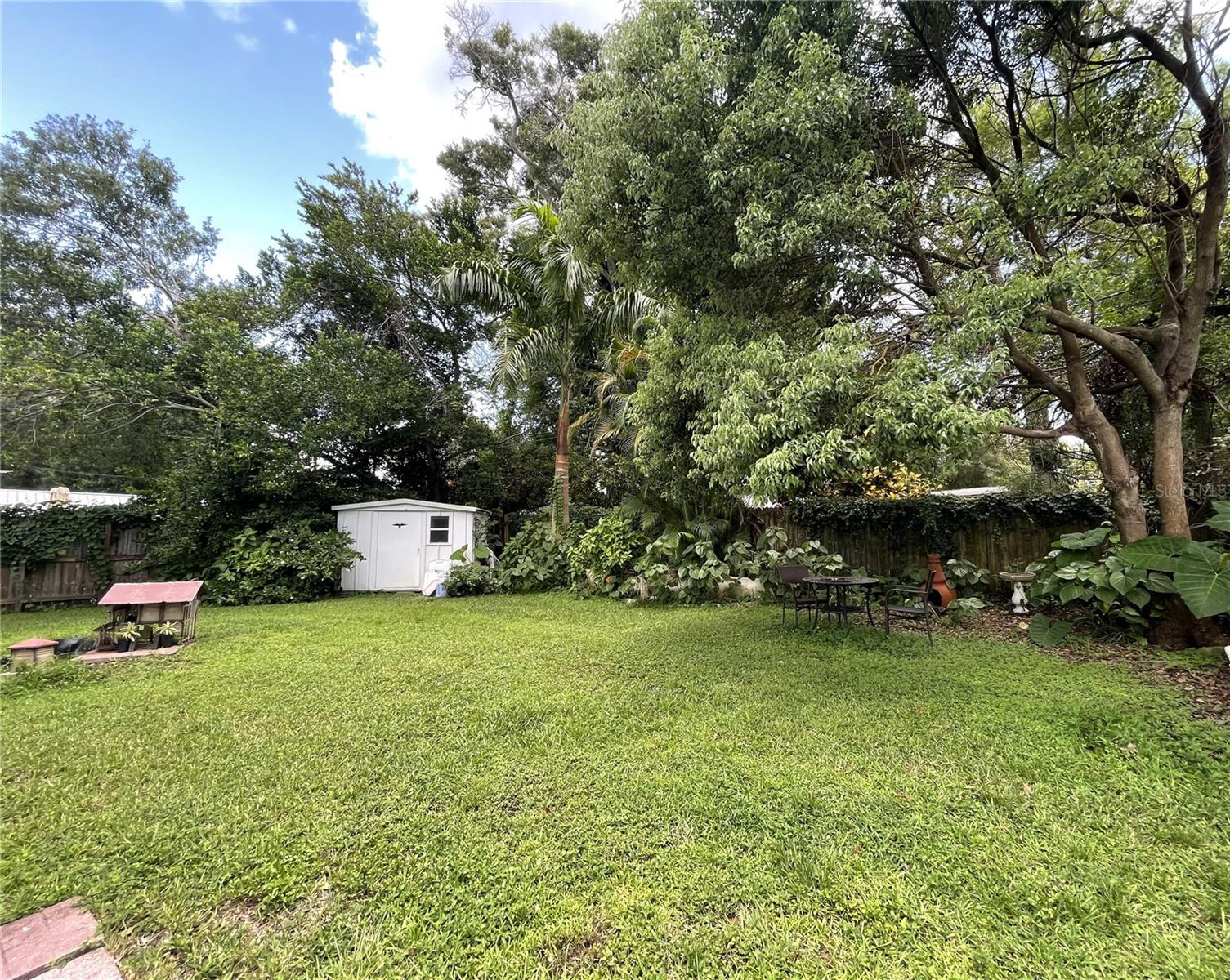 Lush & Spacious Backyard