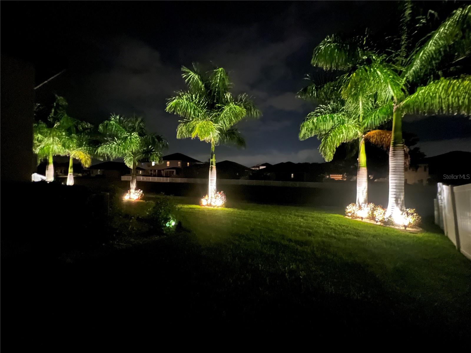 Backyard night exterior