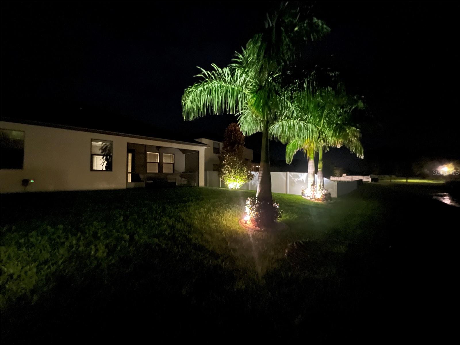 Night backyard exterior