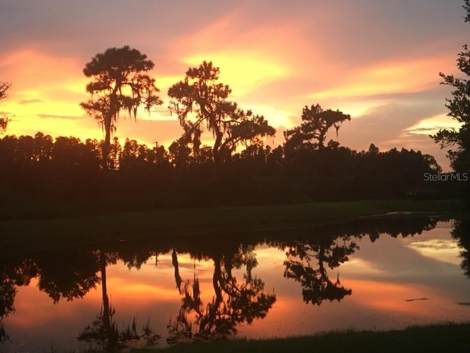 Backyard Sunset