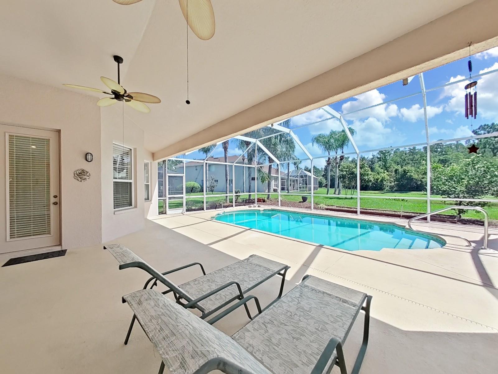 patio + pool