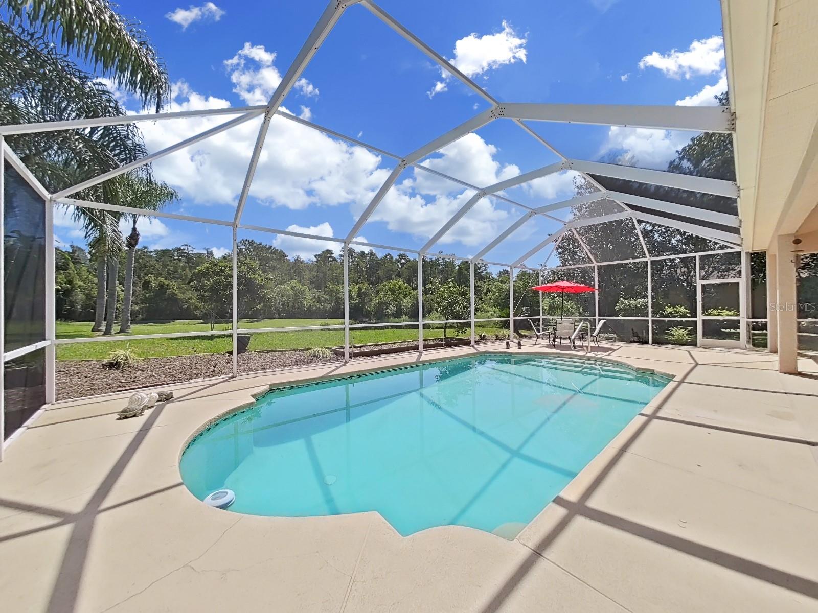 patio + pool